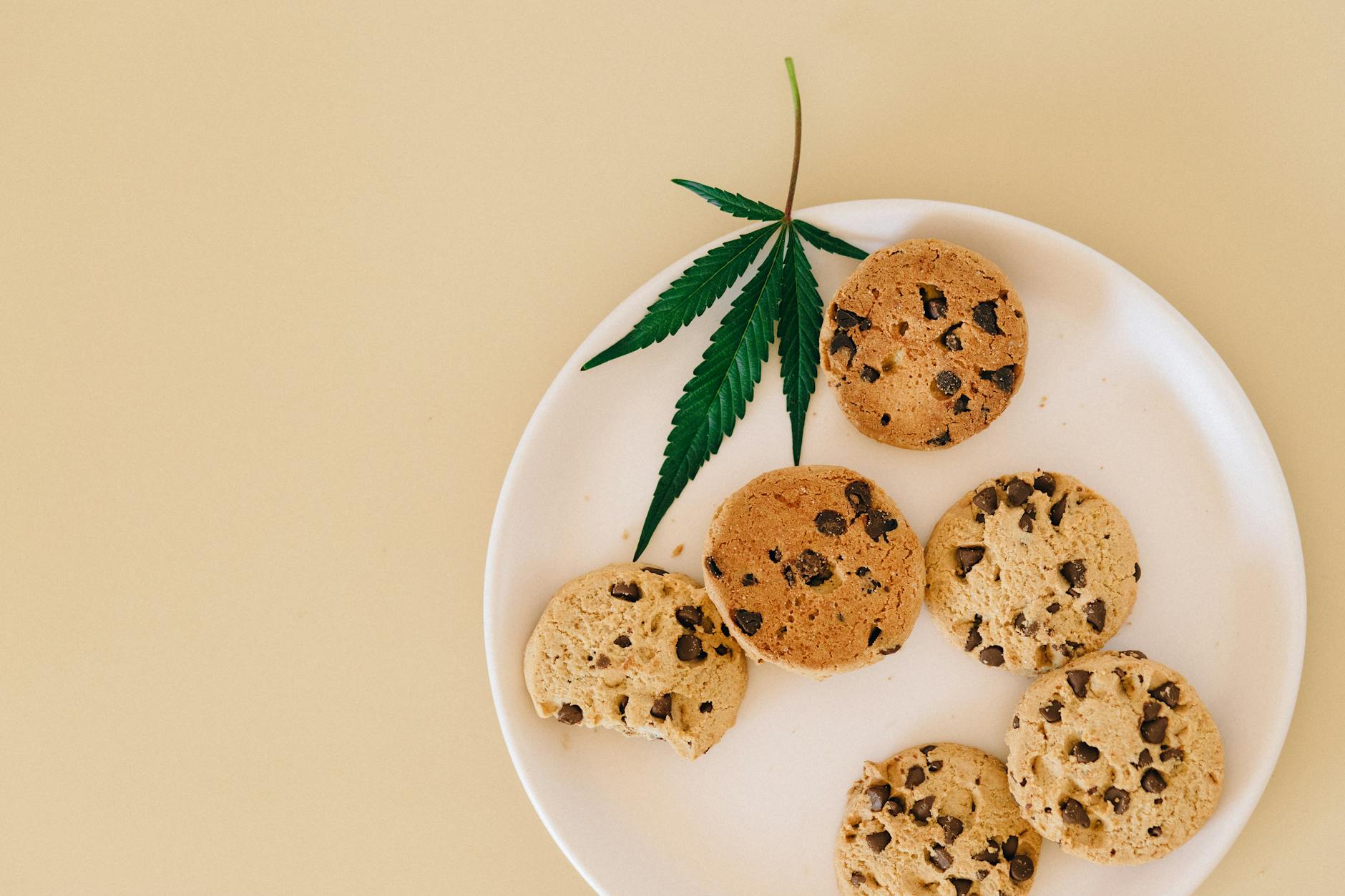 Chocolate chip cookies with cannabis leaf on white plate against plain background.